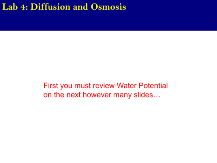 Lab 4 diffusion and osmosis