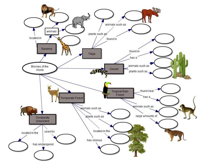 Biomes concept map answer key