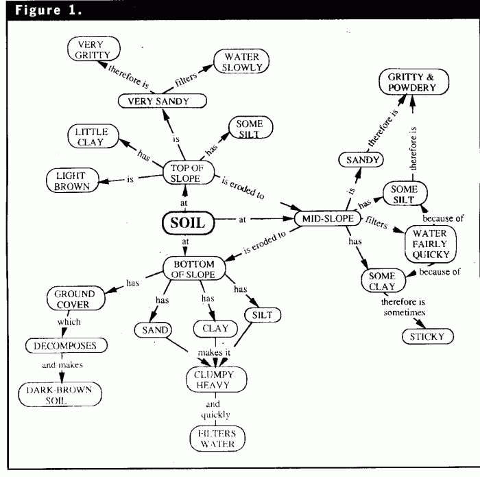 Biomes concept map answer key