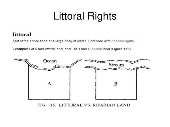 Riparian rights vs littoral rights