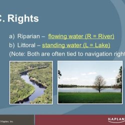 Riparian rights water california ppt powerpoint presentation slideserve right