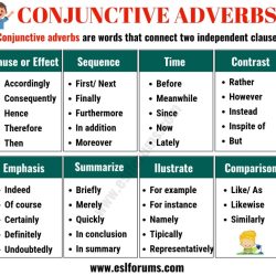 Conjunctive adverbs examples conjunction necessary between clauses follow two