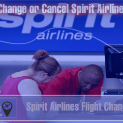 Mission airlines statement spirit